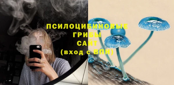мдпв Михайловск