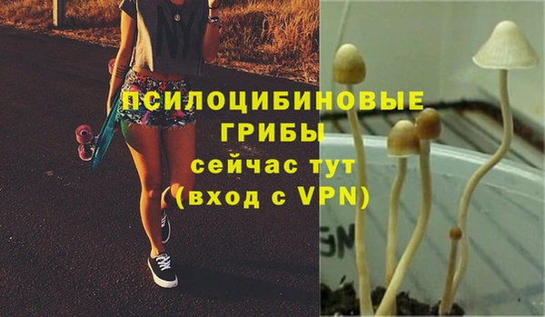 мдпв Михайловск