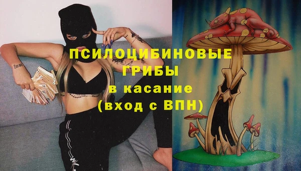 герыч Медногорск