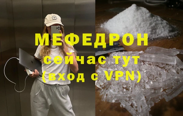 индика Бикин