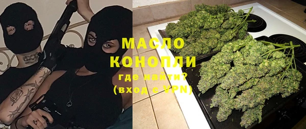 мдпв Михайлов