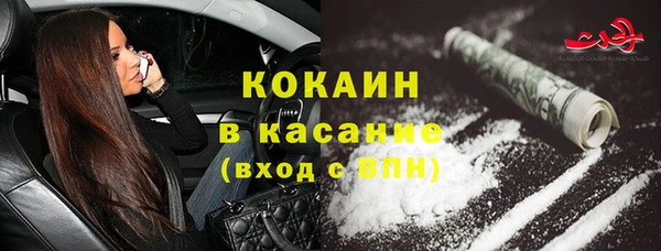 индика Майский