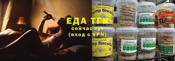 индика Бикин