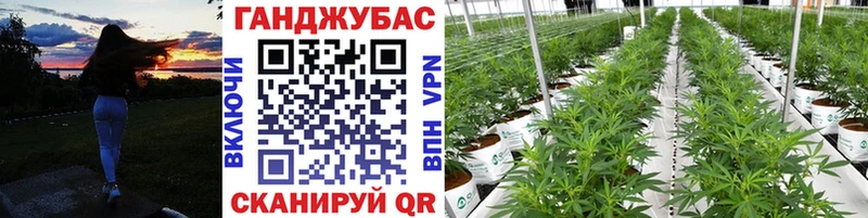 omg зеркало  купить закладку  Кочубеевское  Бошки Шишки конопля 